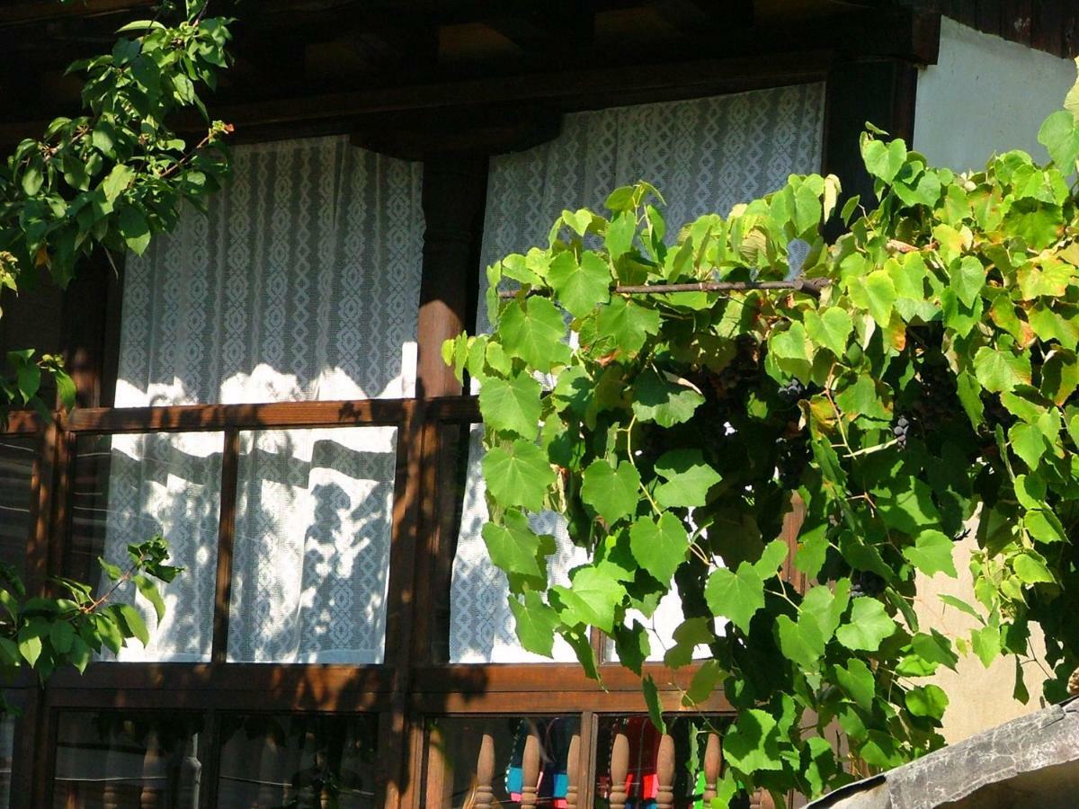 The Tinkov House In Ловеч Екстериор снимка